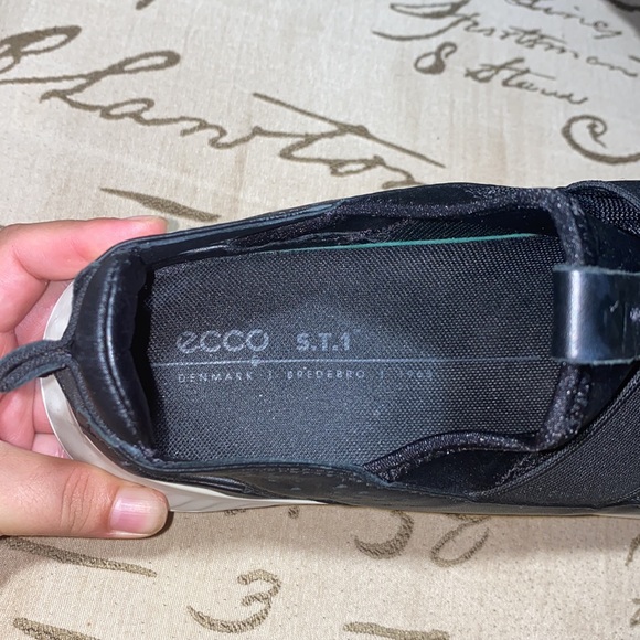 Ecco - Picture 7 of 15